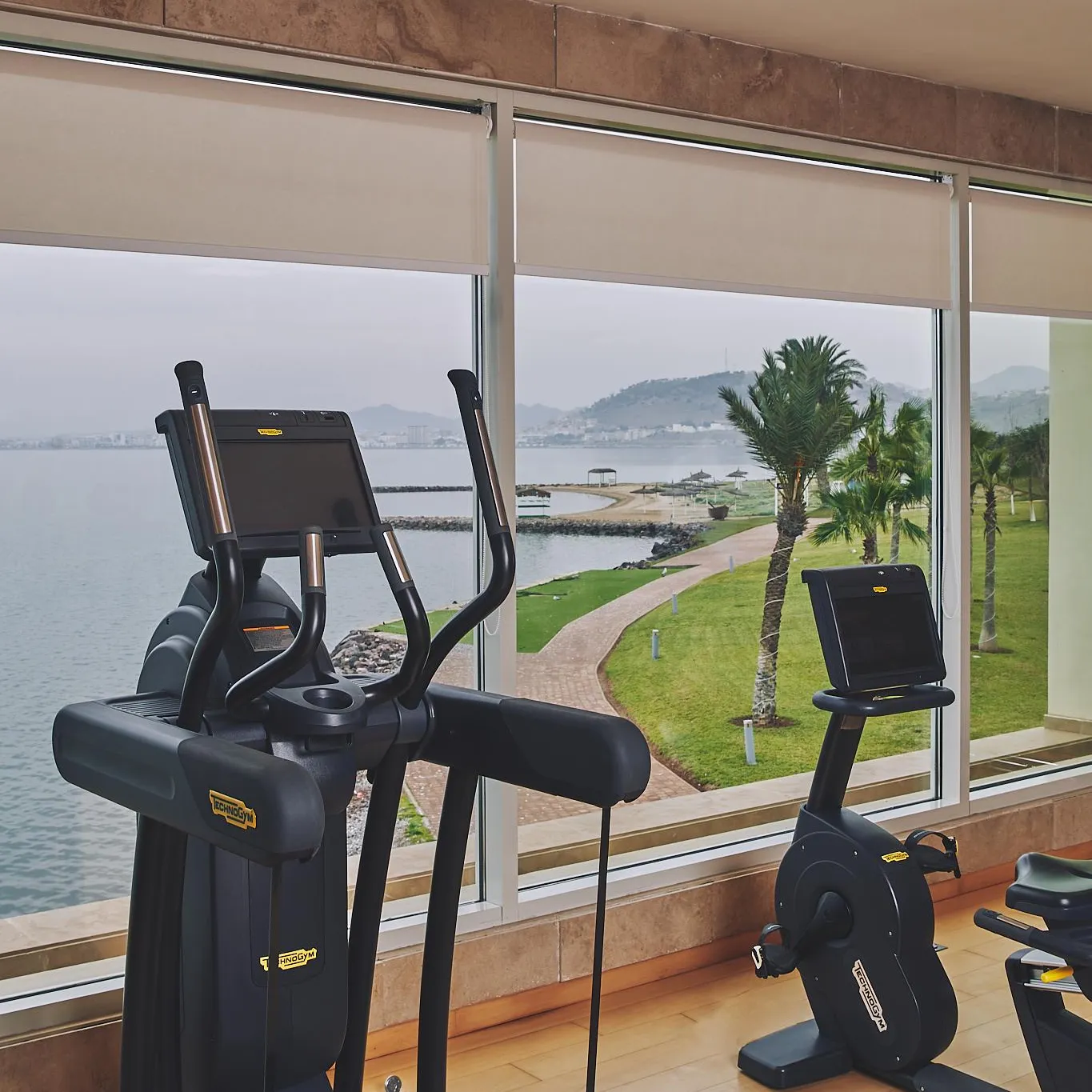 Deux appareils de fitness, un elliptique et un vélo d'appartement, sont placés devant une grande fenêtre offrant une vue sur un parc avec des palmiers et un plan d'eau