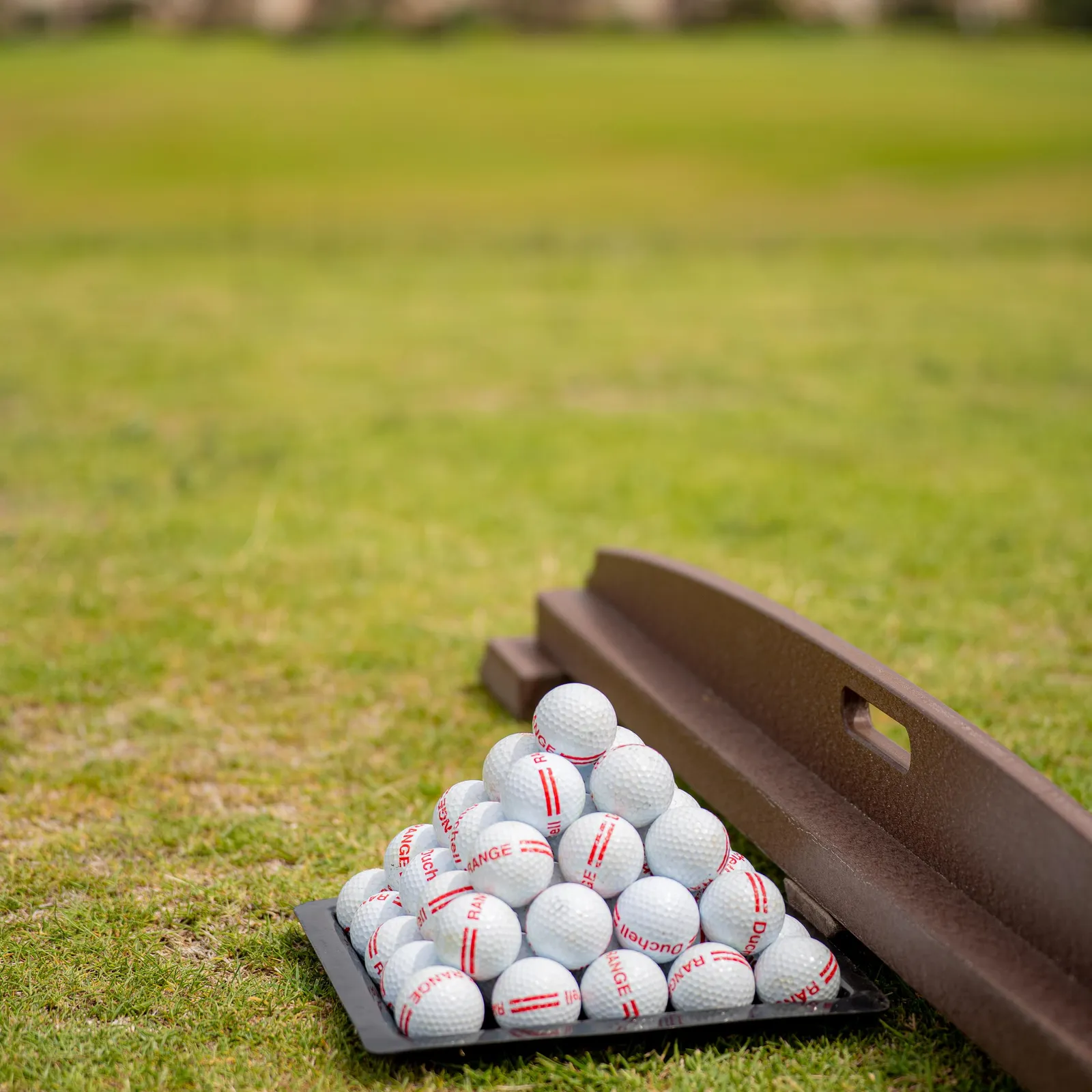 Un seau de balles de golf blanches avec des inscriptions rouges est posé sur l'herbe, à côté d'un banc en bois, avec des moutons en arrière-plan