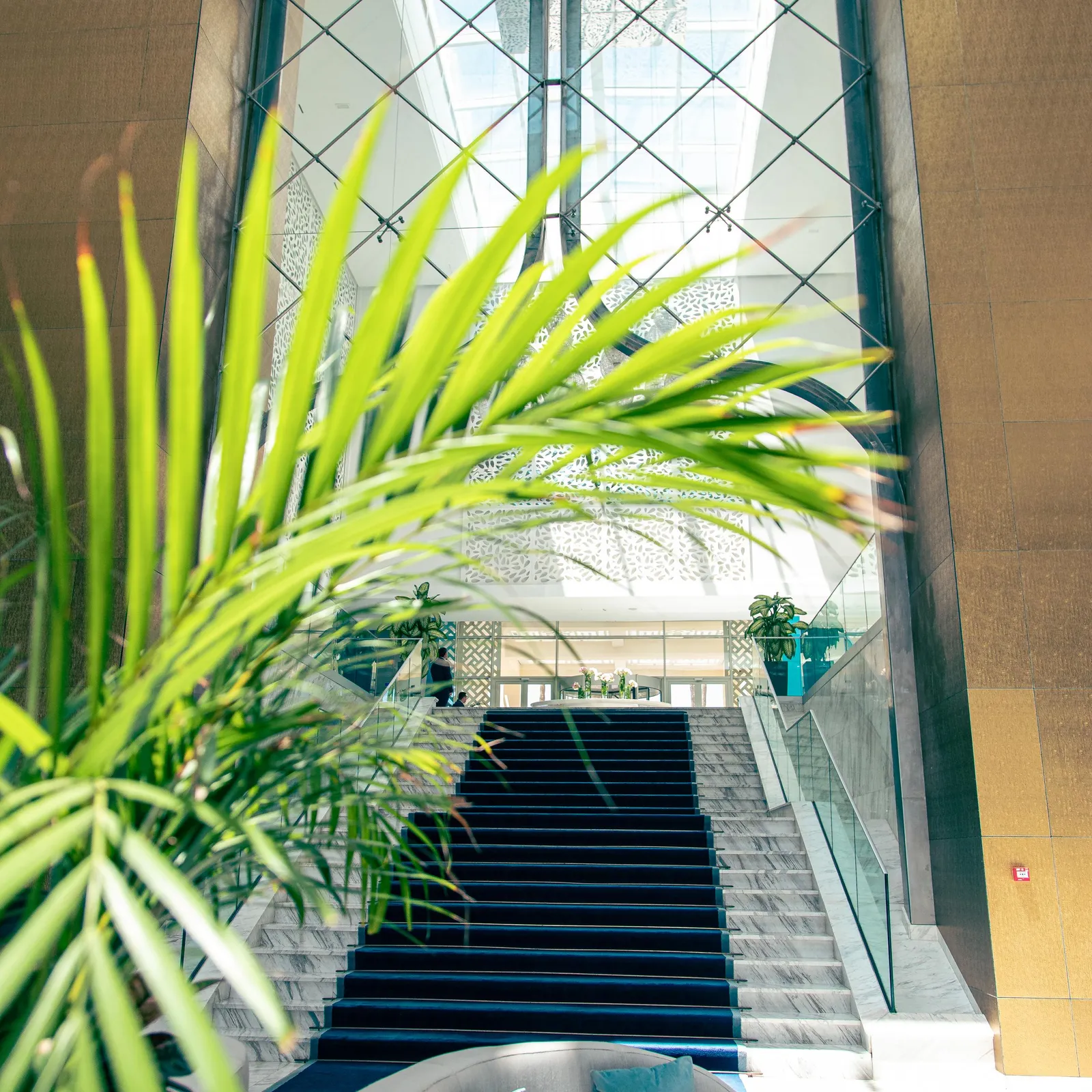 Escalier noir menant à un espace lumineux avec des plantes vertes et un canapé gris en premier plan