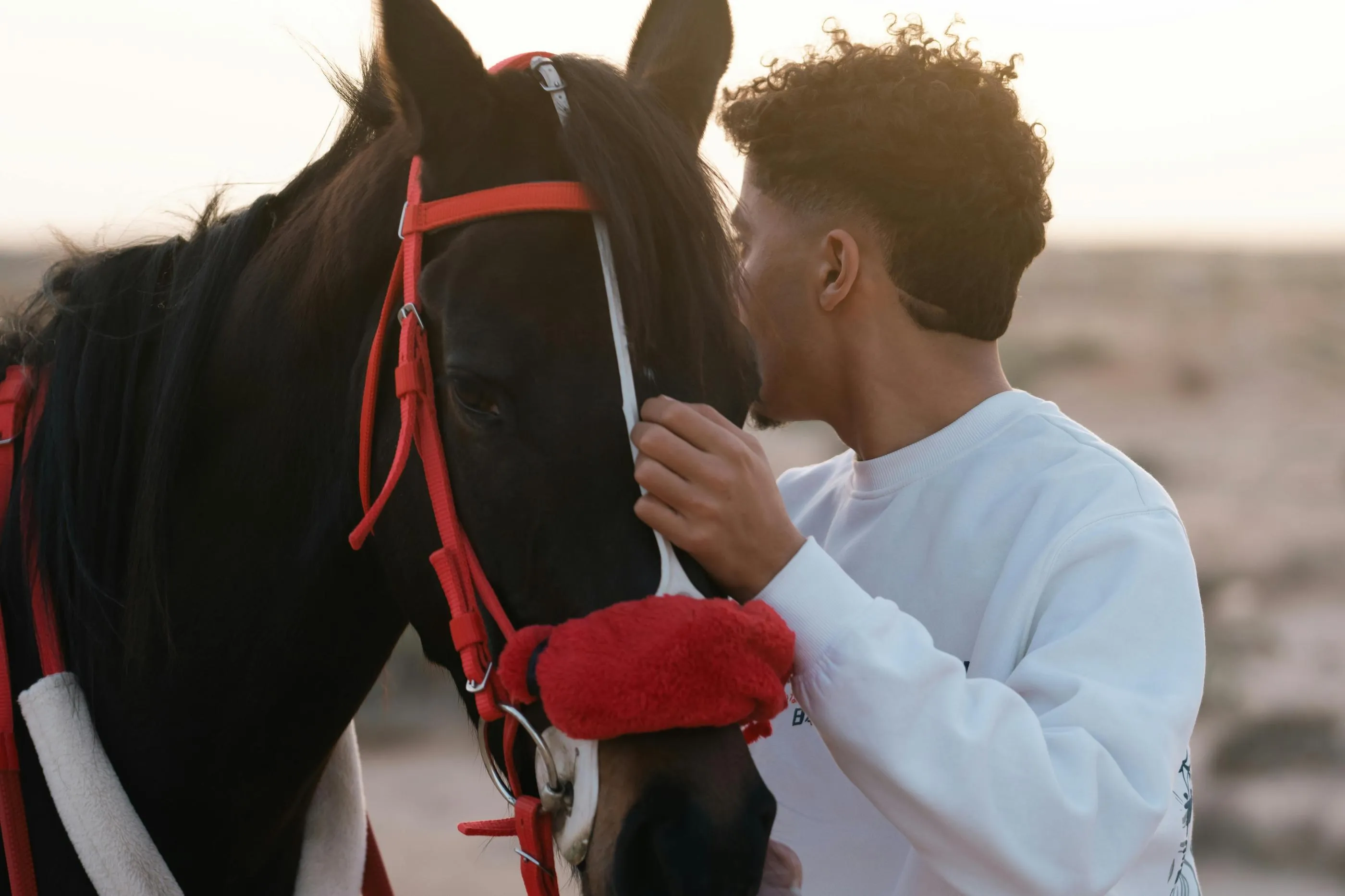 Un homme caresse la tête d'un cheval équipé d'un harnais rouge, sur un fond de plage au coucher du soleil